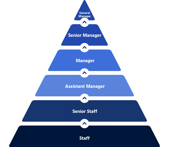 Office staff job grades: Staff, Senior Staff, Assistant Manager, Manager, Senior Manager, General Manager